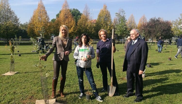 Monza, un nuovo bosco in città