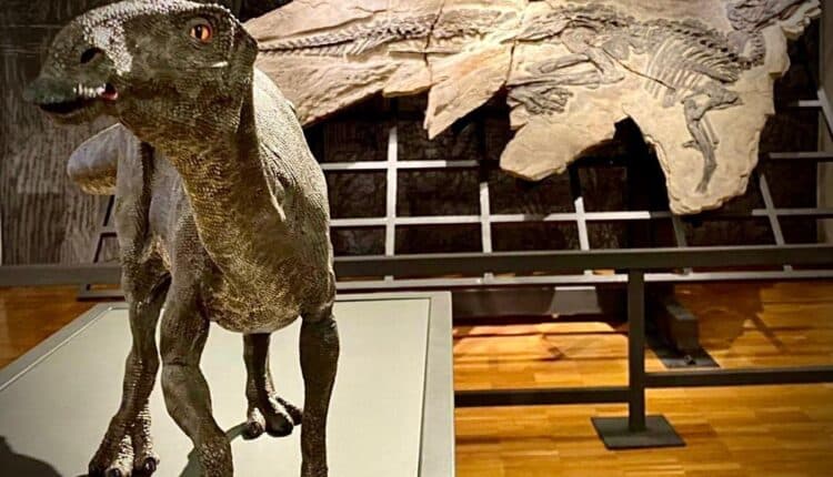 Trieste, mercoledì 24 conferenza di Kevin Milocco al Museo di Storia Naturale