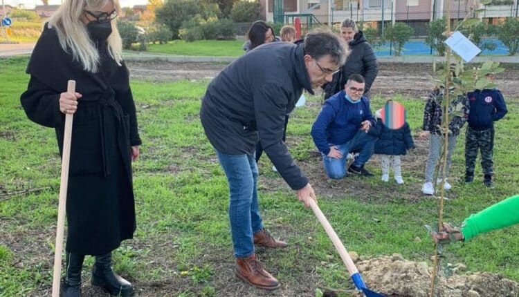 Sassari, giornata dell’Albero, a Sassari trovano dimora 100 piante