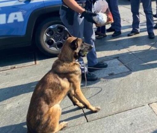 Torino, arrestato 23enne in possesso di hashish