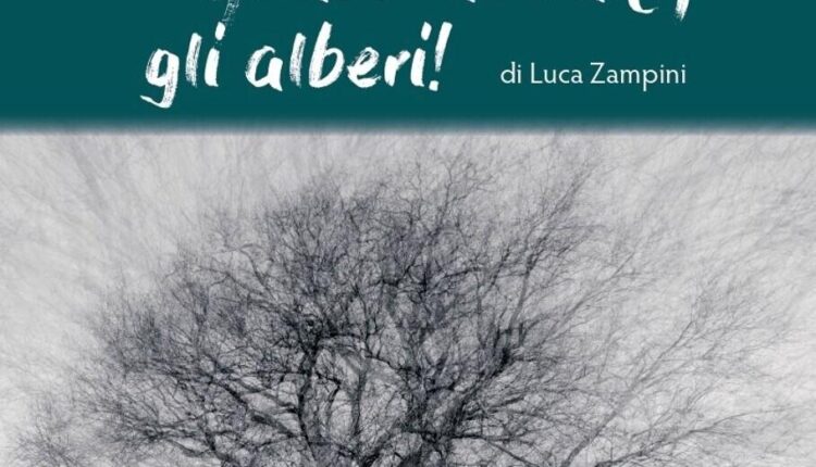 Padova, la mostra fotografica “… mi abbracciano, gli alberi !" di Luca Zampini