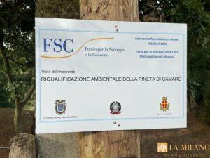 Messina, inaugurata oggi la Pineta di Camaro dopo i lavori di riqualificazione