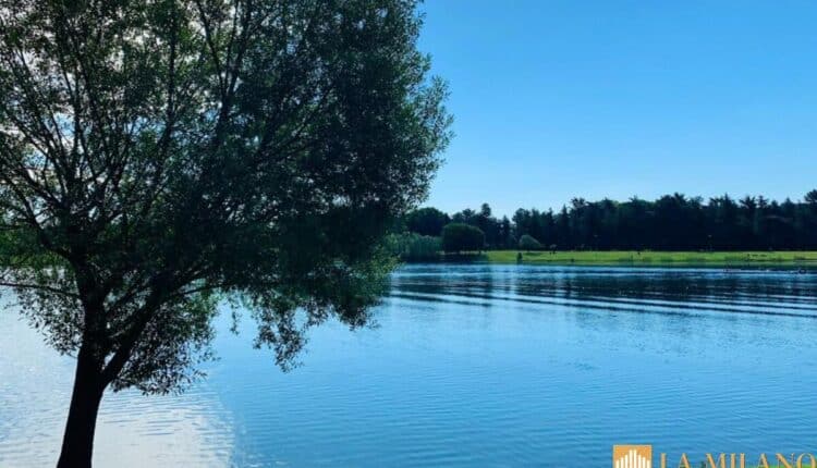 Milano, idroscalo: da Regione Lombardia 380.000 euro per rendere più accessibile e inclusiva la struttura