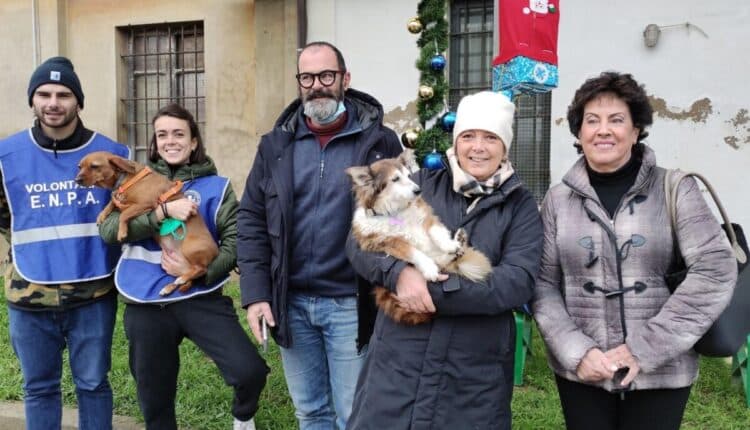 Arezzo, consegna di cibo per i gatti del canile municipale. L'Assessore Carlettini: “una corretta alimentazione per garantire condizioni di salute e igieniche adeguate”