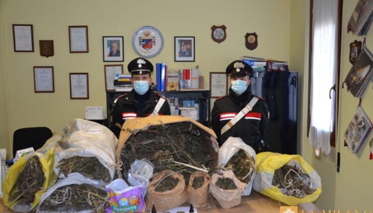 Cagliari, i Carabinieri ispezionano un immobile abbandonato e trovano la droga e un motorino rubato