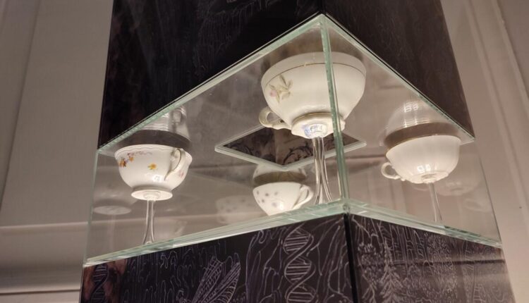 Padova, al Palazzo Zuckermann l'installazione "Ice Memory" dell'artista Sabrina Notturno