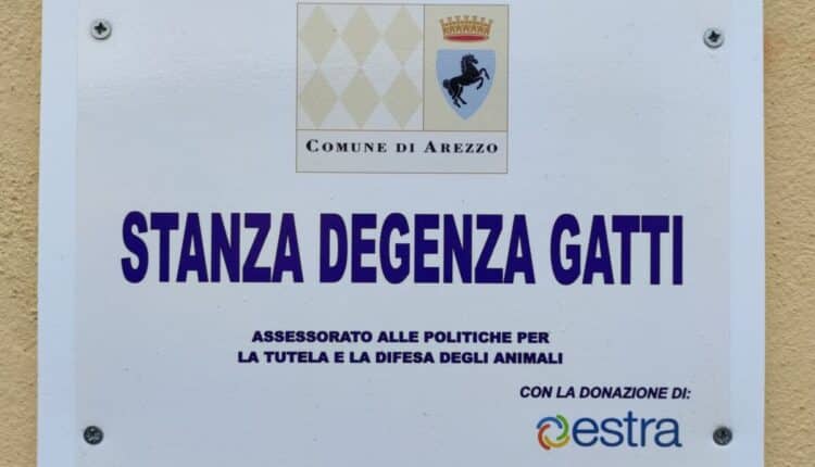 Arezzo, consegna di cibo per i gatti del canile municipale. L'Assessore Carlettini: “una corretta alimentazione per garantire condizioni di salute e igieniche adeguate”