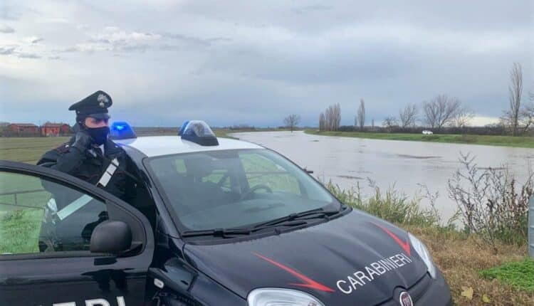 Bologna, aggrediti un giovane e un 85enne da due cani infuriati scappati da una proprietà