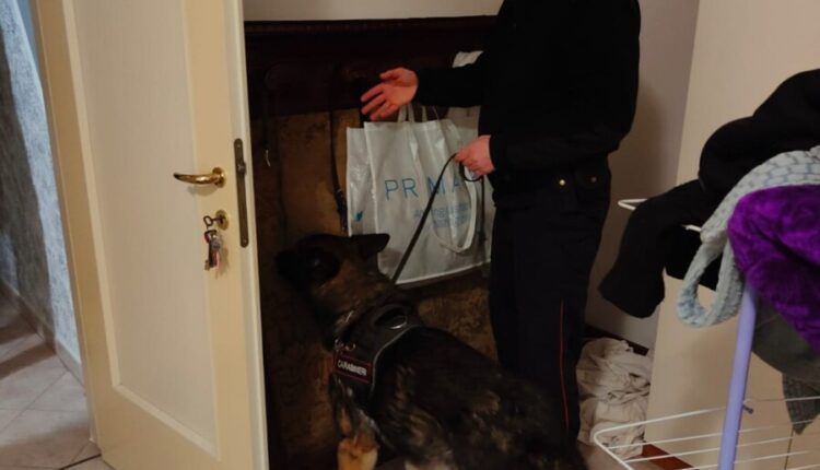 Lucca, spacciatore tenta di fuggire dai Carabinieri e viene arrestato