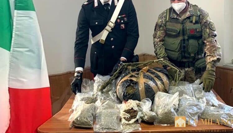 Reggio Calabria, rinvenuti quasi 8kg di marijuana e un fucile tipo doppietta con matricola abrasa