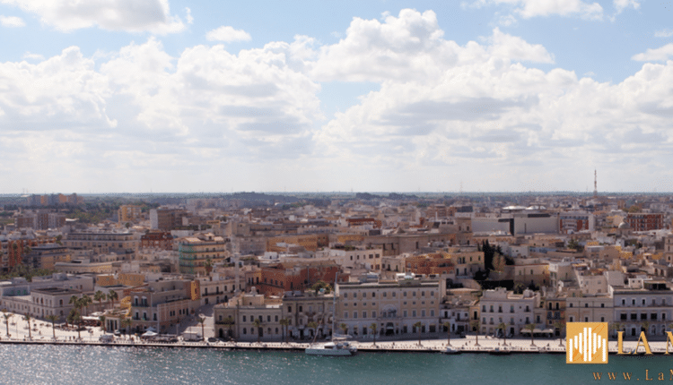 Brindisi, parte la campagna “Lo ripiantiamo noi” per salvare gli alberi di Natale veri