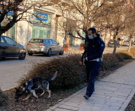 Vicenza, 22 le persone identificate, il cane antidroga Aria recupera un involucro di hashish appena abbandonato