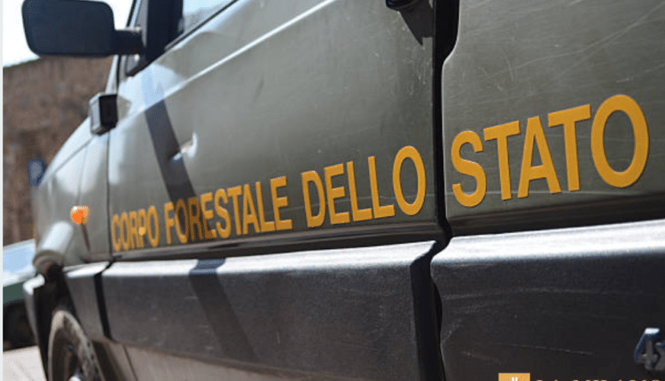 Reggio Calabria, due ragazzi bloccati da un auto in fiamme all'interno di un caseggiato rurale