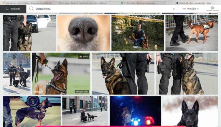 Trento, due giovani fermati dal cane antidroga Aron per detenzione di sostanze stupefacenti