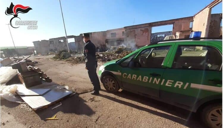 Trapani, denunciati per combustione di rifiuti speciali, mantenendo animali in condizioni pessime