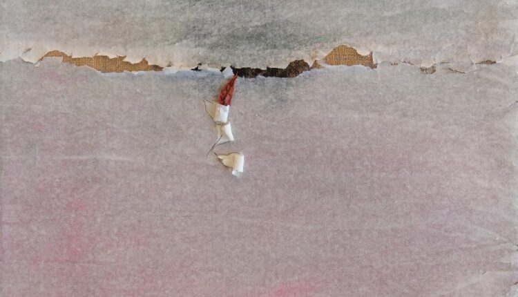 Lecce, Romano Sambati, Dolore delle foglie. Domani inaugurazione al Castello Carlo V della mostra prodotta dal Comune di Lecce