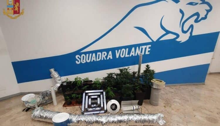 Milano, fermate 4 persone per detenzione di droga ai fini di spaccio: crack, piantine di marijuana, cannabis e parecchio denaro