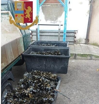 Taranto, sequestrati più di due quintali di cozze in cattivo stato di conservazione e senza etichetta pronte alla vendita