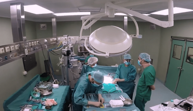 Marche, trapianto di rene da donatore vivente: l'impegno a renderlo più accessibile.