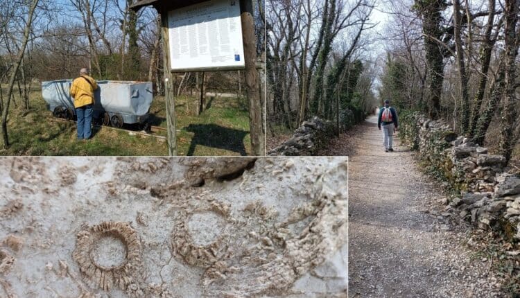 Trieste, primo appuntamento con “passeggiando si impara”: la preistoria. Sabato 2 aprile dalle 14.45 a Bovisazza