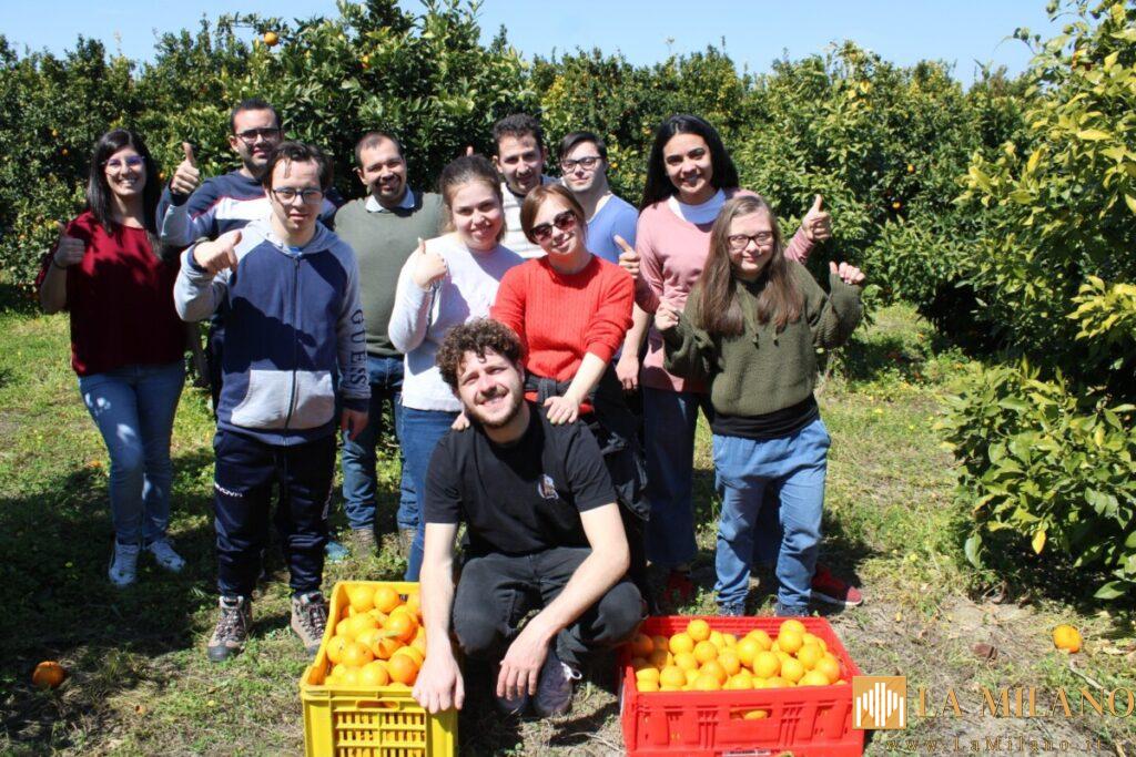 Catania, continua la raccolta di arance nei campi confiscati alla Mafia con progetto inclusivo