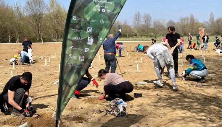 Milano, alberi al posto del cemento: piantagione collettiva di 300 piante