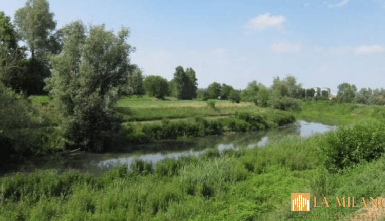 Vicenza, domenica 27 marzo torna la giornata ecologica con il blocco del traffico dalle 9 alle 18 all’interno delle mura