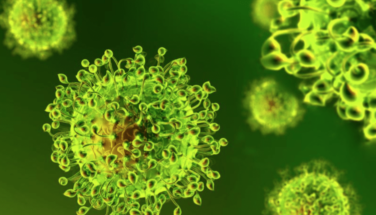 Coronavirus in Calabria, il bollettino del 30 marzo 2022