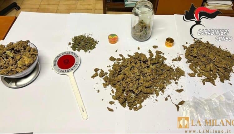 Alba (Cuneo), va in escandescenze per una lite familiare, i Carabinieri intervengono e trovano quasi un Kg di marijuana, arrestato.