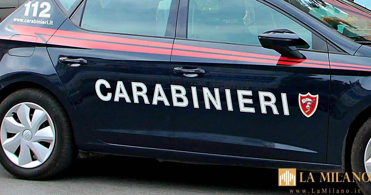 Alessandria, operazione “L’Anello Mancante”: sequestrati dai Carabinieri Forestali CITES oltre 2.500 esemplari di avifauna e denunciati 104 soggetti all’Autorità Giudiziaria