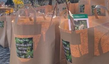 Milano, grande successo per l'iniziativa "Custodiscimi", esaurite tutte le piantine