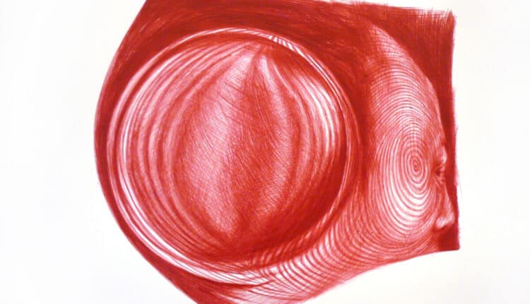 Milano, al Museo del Novecento il "Premio Acacia 2022" a Diego Perrone: le opere vincitrici donate la museo