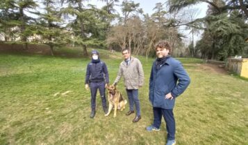 Verona, controlli antidegrado a Villa Pullè ed ex Tiberghien