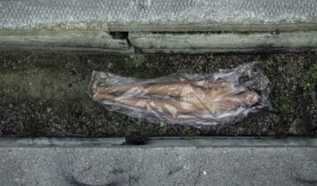 Bologna, Il MAMbo dedica alla comunità artistica dell'Ucraina un'edizione del Programma di Residenze ROSE