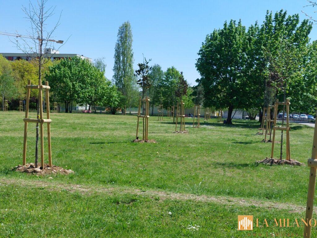 Udine, la città rifiorisce: già 580 nuove piantumazioni, saranno oltre mille nel 2022