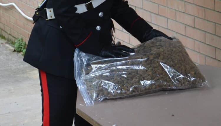 Capoterra, rinvenuti in un capannonne di un'azienda agricola droga e armi