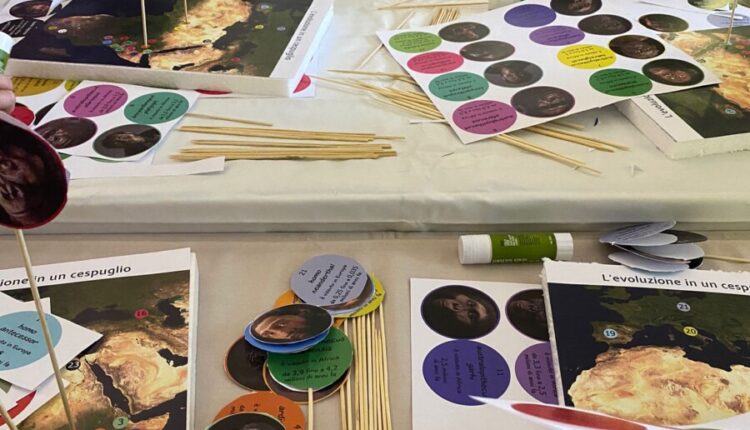 Modena, museo civico: un laboratorio per capire l'evoluzione