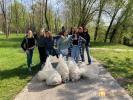 Social Day 2022, dieci studentesse si sono dedicate alla pulizia di parco Astichello
