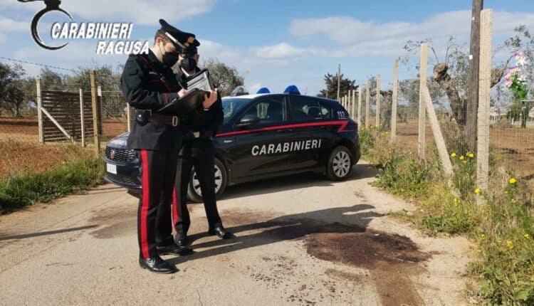 Acate, furto di un pony, poi abbandonato morente sul manto stradale