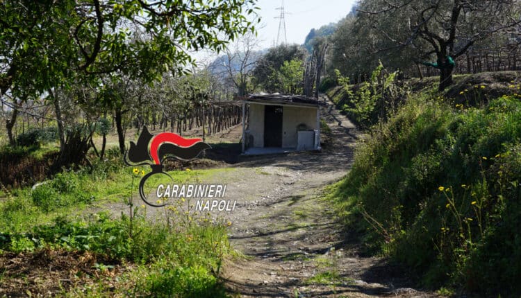 Napoli, carbonizzato dal fratello, per una polizza assicurativa