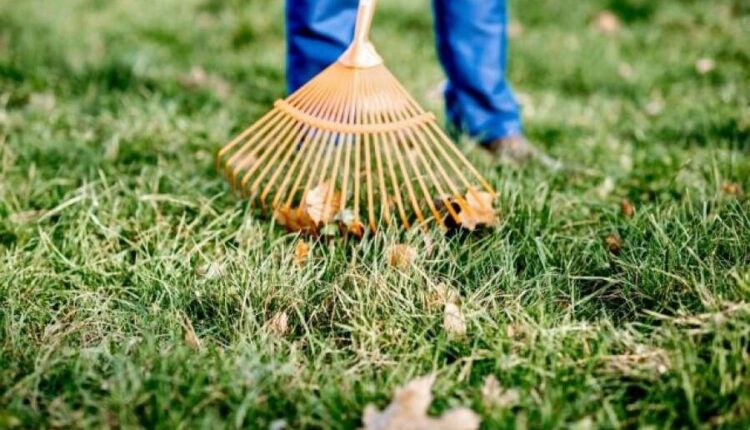 Frosinone, progetti lavorativi per Reddito di Cittadinanza.