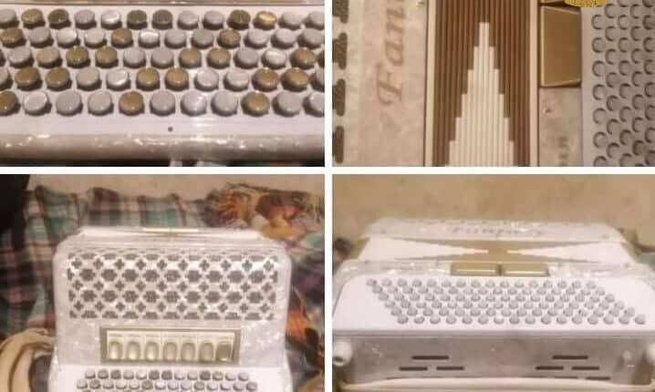 Genova, vende online una fisarmonica rubata ma il proprietario la riconosce e lo denuncia