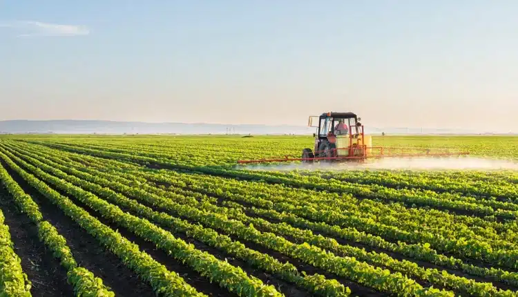 Bologna, quinta edizione dell’asta della Banca delle terre agricole di Ismea