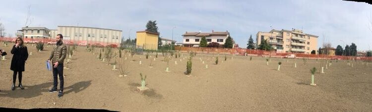 Piacenza, un nuovo bosco urbano in Via Einaudi