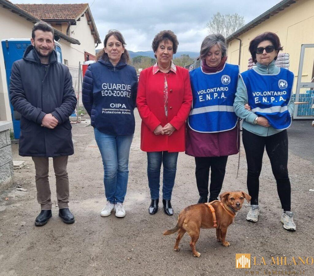 Arezzo, 50.00 pasti per i gatti del canile municipale