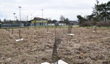 Arezzo, mille nuove piante grazie a Estra