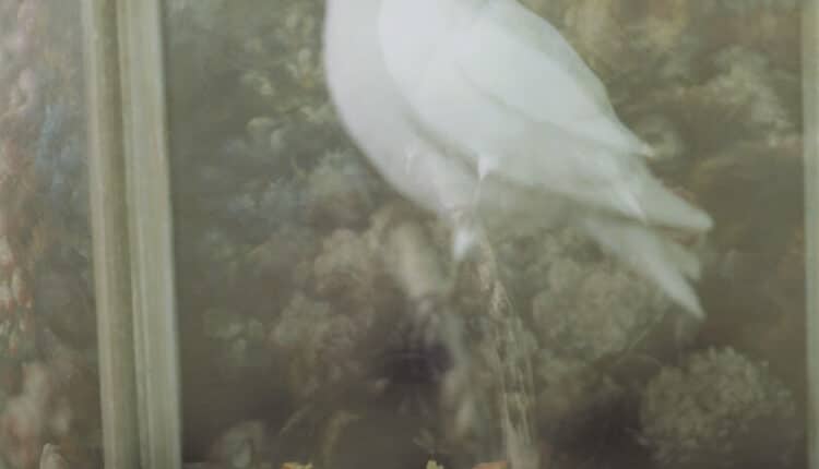 Roma,“Fuori Catalogo. Wandering Pop Up Art Exhibition”