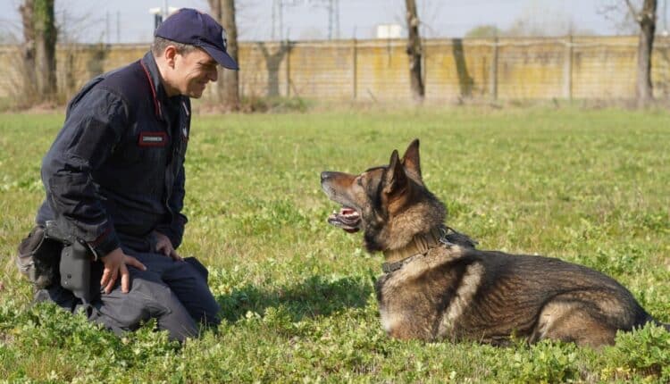 Reggio Emilia, individuato il cadavere del 77enne di Toano