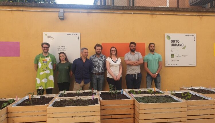 Rovigo, inaugurato l'orto urbano allo Urban Digital Center Innovation Lab