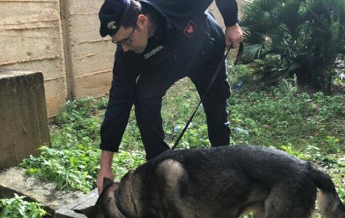 Trapani, arrestato un 35enne per spaccio